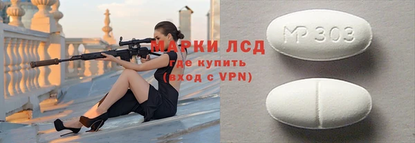сатива Бородино