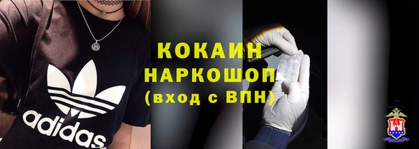 сатива Бородино