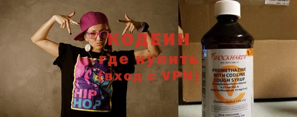 сатива Бородино