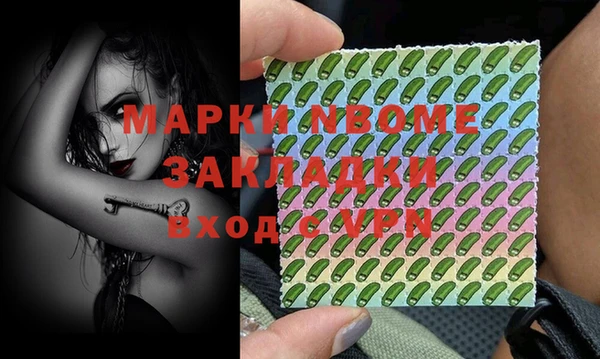 сатива Бородино