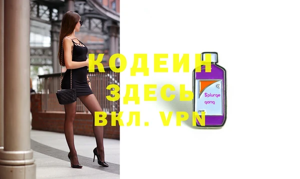 сатива Бородино