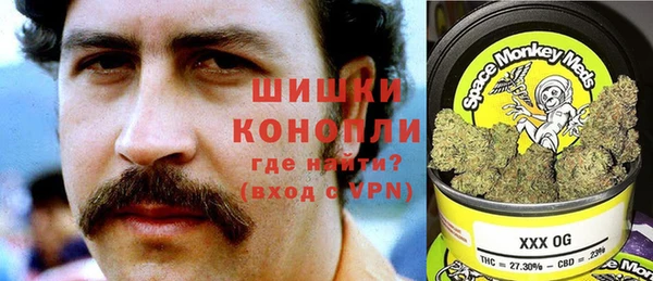 сатива Бородино