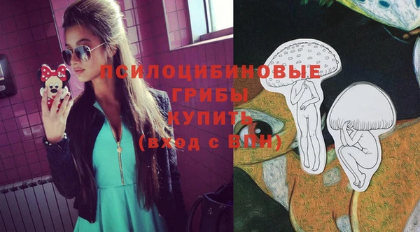 прущий лед Бронницы