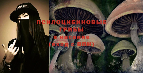 ГАЛЛЮЦИНОГЕННЫЕ ГРИБЫ Бугульма