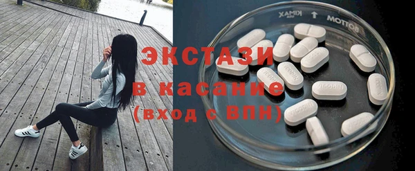 сатива Бородино