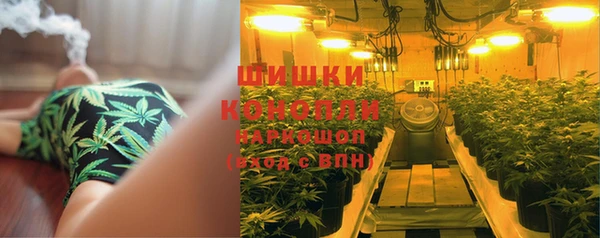 ГАЛЛЮЦИНОГЕННЫЕ ГРИБЫ Бугульма