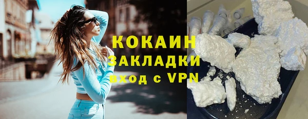 сатива Бородино