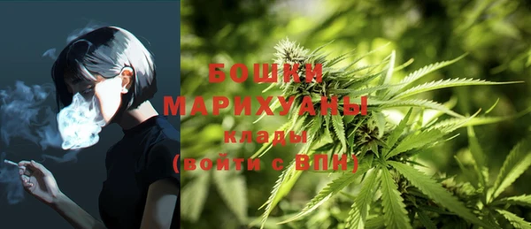 ГАЛЛЮЦИНОГЕННЫЕ ГРИБЫ Бугульма