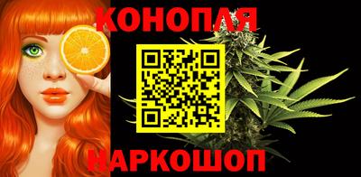 шишки Балашиха