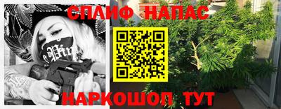 шишки Балашиха