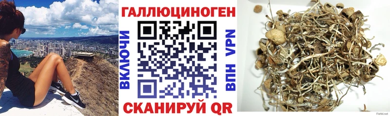 Псилоцибиновые грибы Psilocybe omg как зайти Верхний Уфалей дарнет шоп