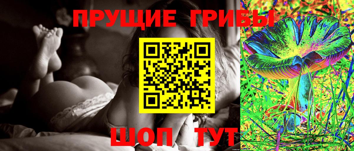 продажа наркотиков  Верхний Уфалей  Галлюциногенные грибы Psilocybine cubensis 