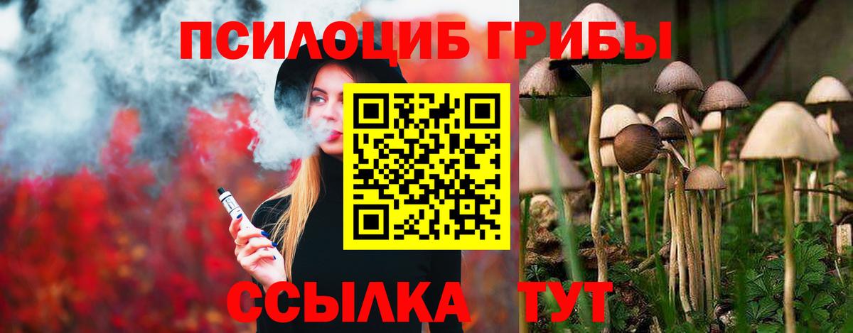Псилоцибиновые грибы Psilocybe  Галлюциногенные грибы прущие грибы  Верхний Уфалей  Вход с VPN 
